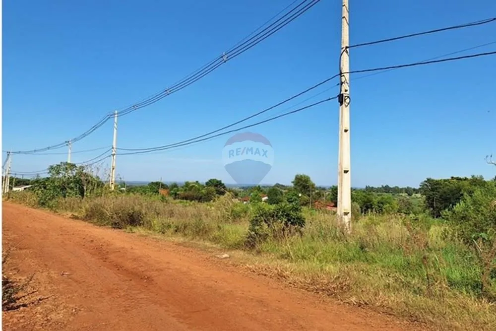 Terreno Vendo 1958 M2 en Tomás Romero Pereira — foto 3