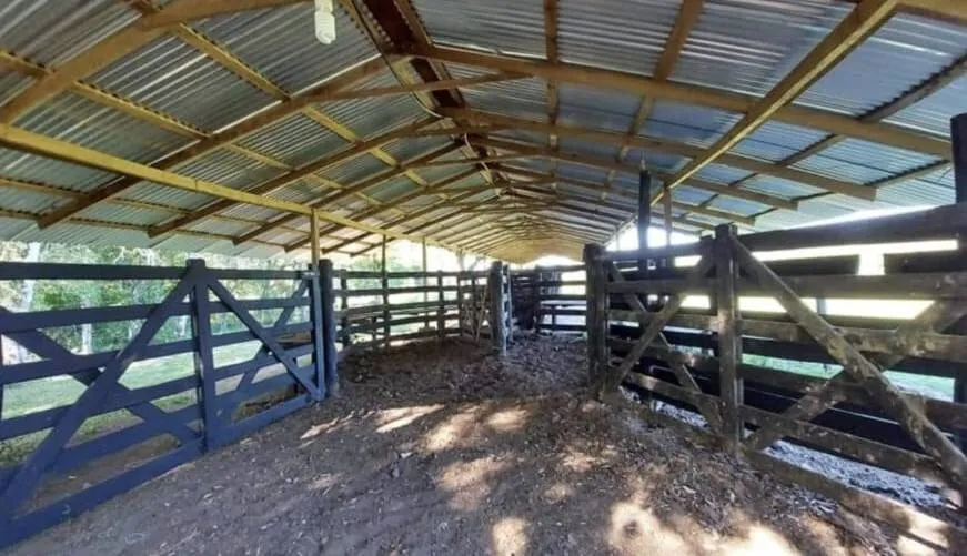 Vendo Estancia 50 Has en Cambyreta Itapua - Campo Ganadero Llave en Mano con Casa — foto 2