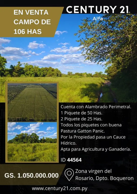 Vendo Campo 105 Has en Neuland Boqueron - Chaco Agricola Ganadero con Pasturas — foto 2