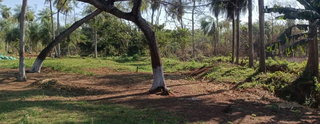 VENDO HERMOSA PROPIERDAD DE 9 HECTÁREAS EN PIRAYU-TITULADO — foto 2