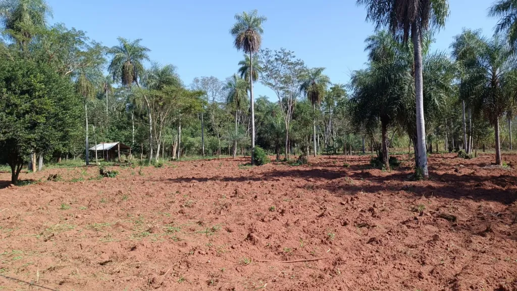 VENDO HERMOSA PROPIERDAD DE 9 HECTÁREAS EN PIRAYU-TITULADO — foto 3