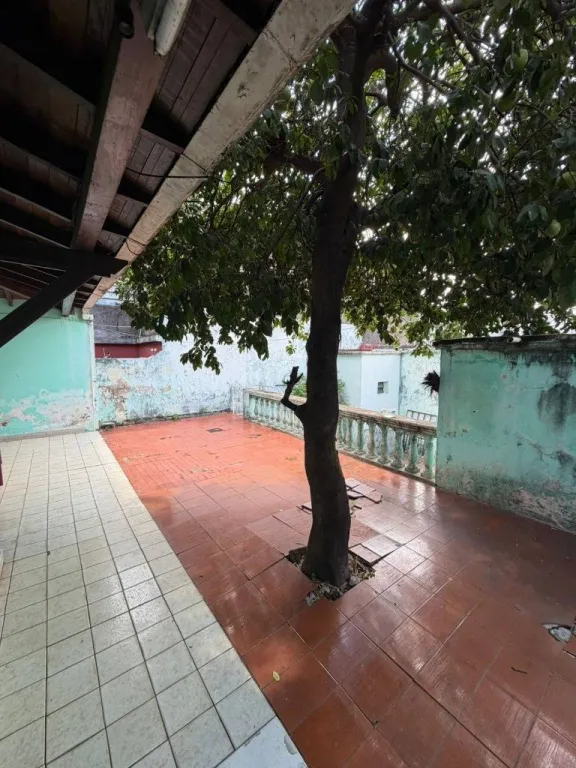 Vendo Terreno 315m2 con casa y 2 salones a demoler o reformar en Centro Ciudad Nueva — foto 3