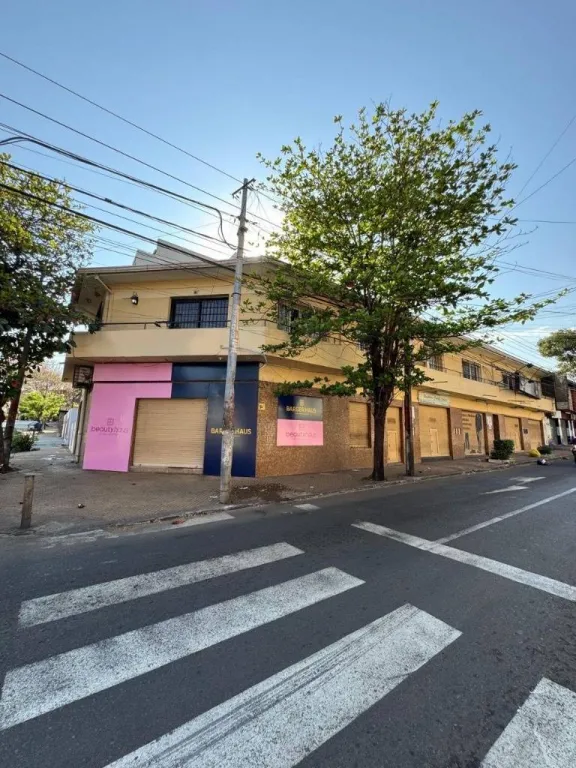 Vendo Edificio locales comerciales y departamentos alquilados 550m2 Centro Asuncion — foto 2