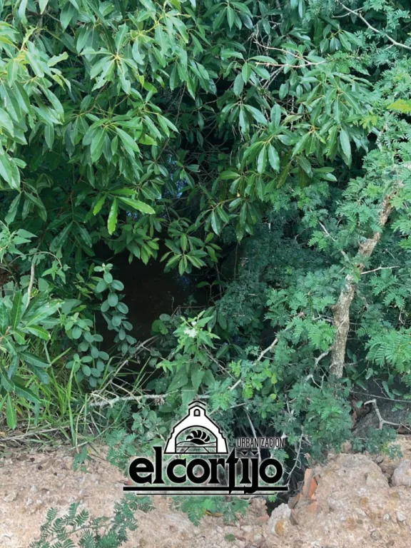EL CORTIJO YPACARAÍ–SANBER TERRENO EN ESQUINA MARAVILLOSA 920 M² OPORTUNIDAD DE INVERSIÓN — foto 3