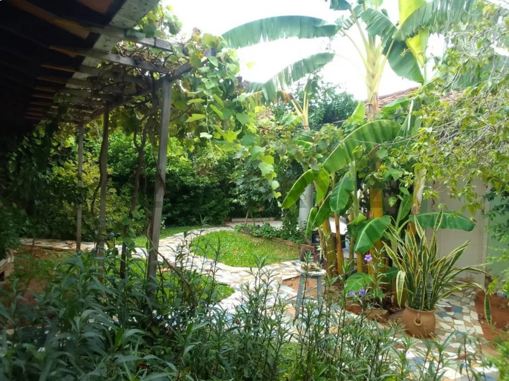 VENDO CASA EN BARRIO HIPODROMO — foto 2