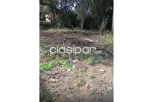 Terreno en Venta en Central Limpio Isla Aveiro Calle Sin Nombre casi Prof. Estelvina Góme — foto 2