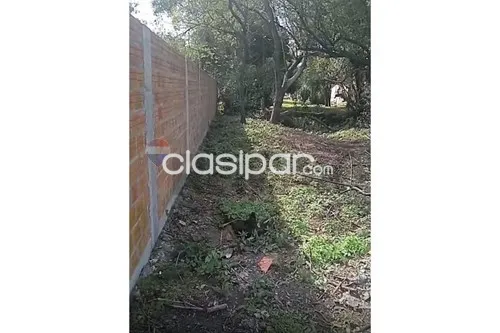 Terreno en Venta en Central Limpio Isla Aveiro Calle Sin Nombre casi Prof. Estelvina Góme — foto 3
