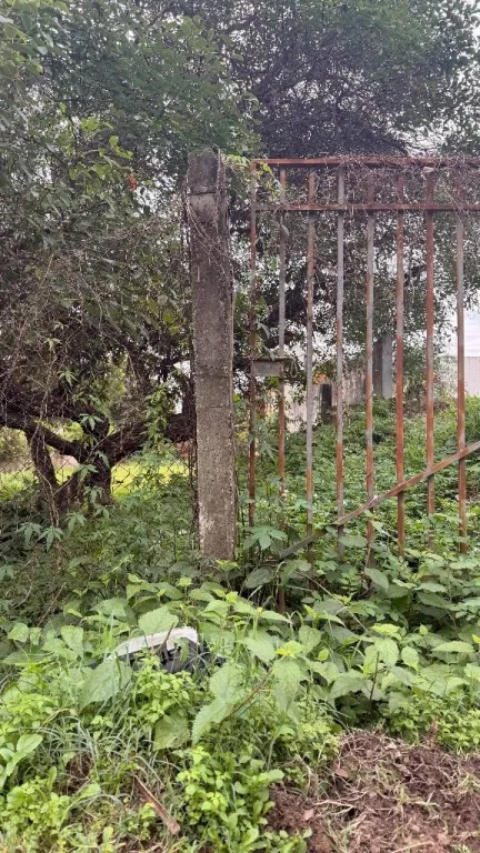 VENDO TERRENO EN LUQUE ZONA DE FACIL ACCESO — foto 2