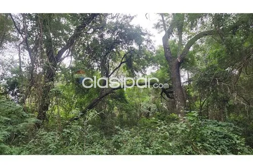 Terreno en Venta en Central Ypacaraí — foto 3