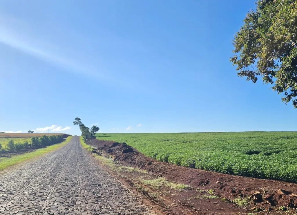 Terreno Agrícola Mecanizado en Obligado - 28 Ha. — foto 2