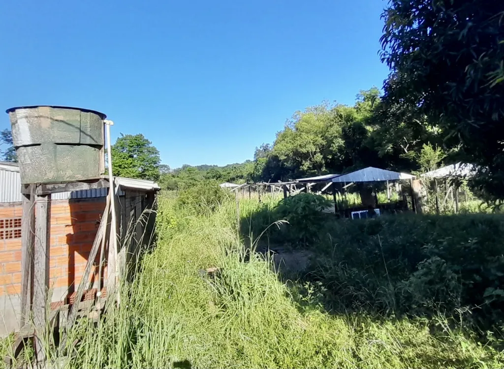 Granja a Refaccionar en Cambyreta - 3 Ha. — foto 2