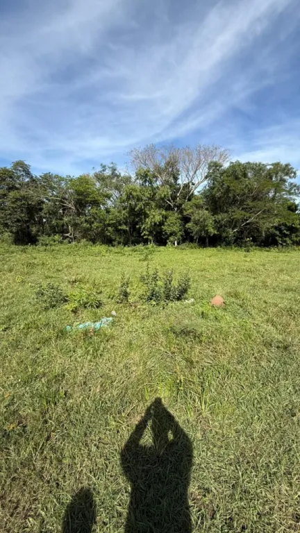 VENDO TERRENO - SAN BERNARDINO Fracción El Cortijo — foto 2