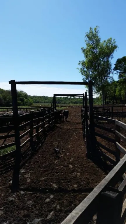 VENDO ESTANCIA EN SAN PEDRO DEL PARANÁ — foto 2