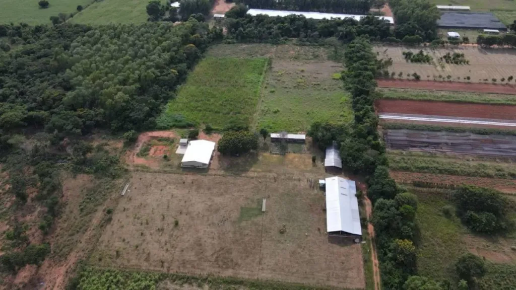 VENDO ESTANCIA EN NUEVA ITALIA — foto 3