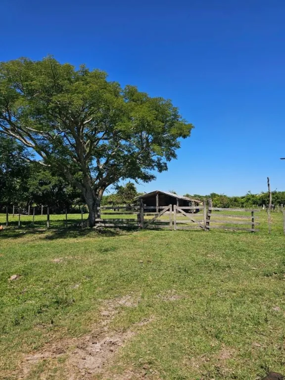 VENDO ESTANCIA EN PILAR — foto 3