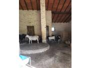 VENDO ESTANCIA EN CAACUPÉ