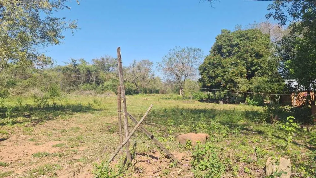 VENDO ESTANCIA EN NUEVA COLOMBIA — foto 2