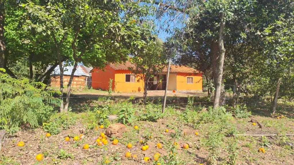 VENDO ESTANCIA EN NUEVA COLOMBIA — foto 3