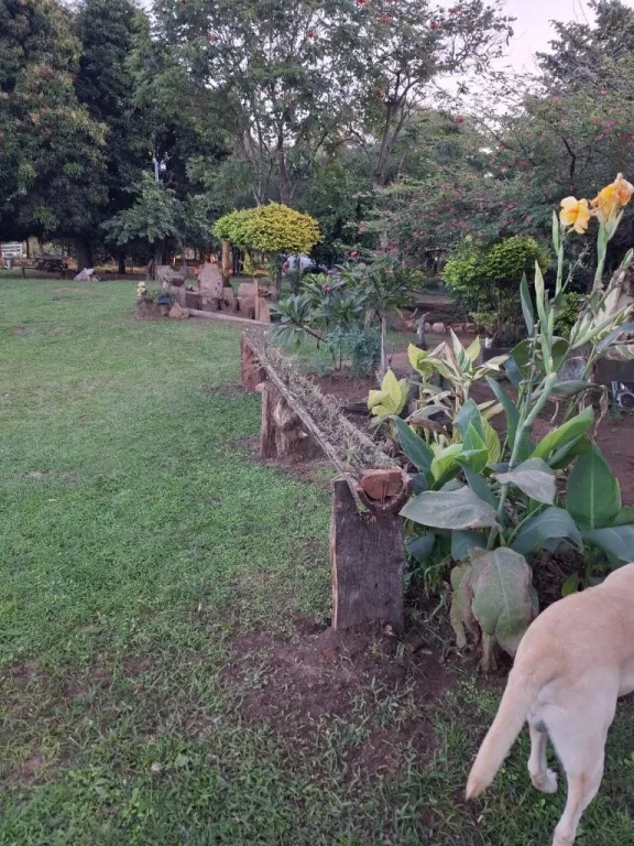 Campo en venta en Arroyos y Esteros — foto 2