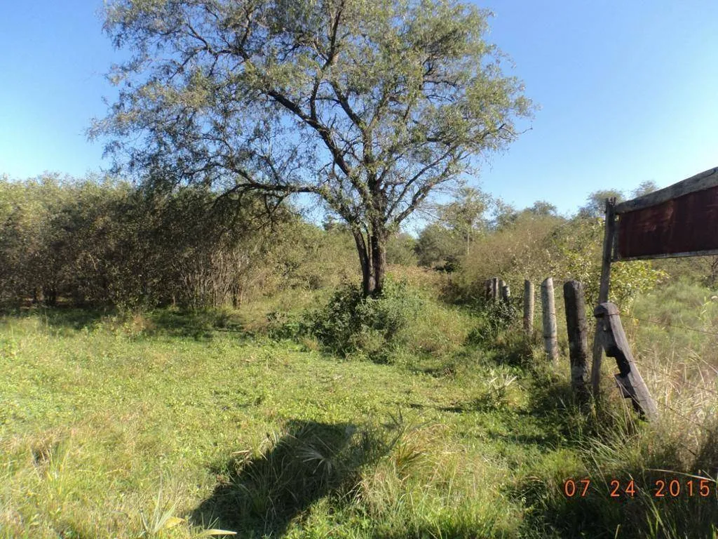 VENDO ESTANCIA EN VILLA HAYES — foto 2