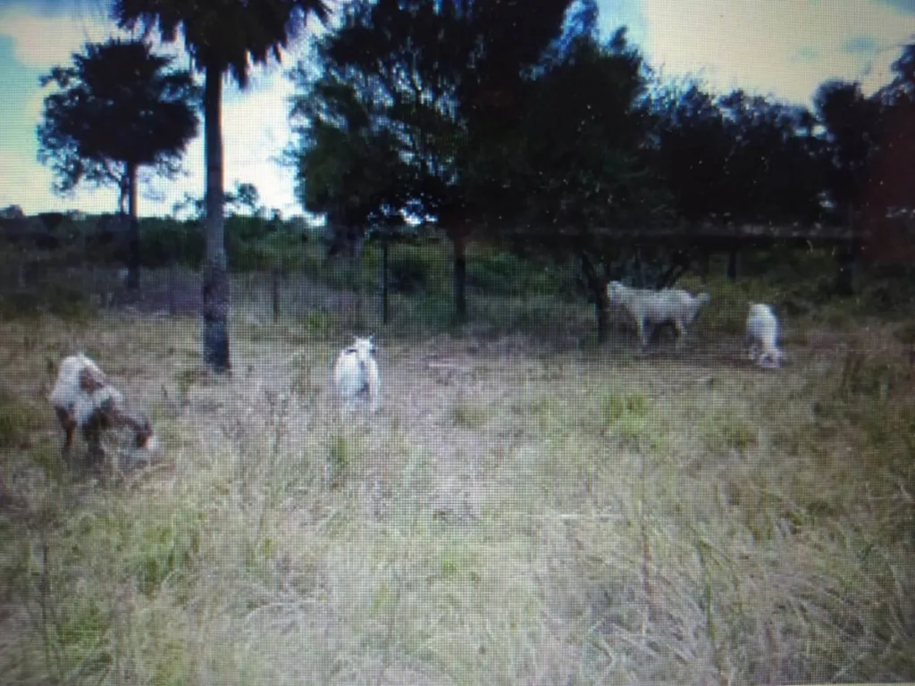 VENDO ESTANCIA EN PILAR — foto 2