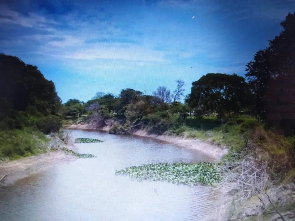 VENDO ESTANCIA EN PILAR — foto 3