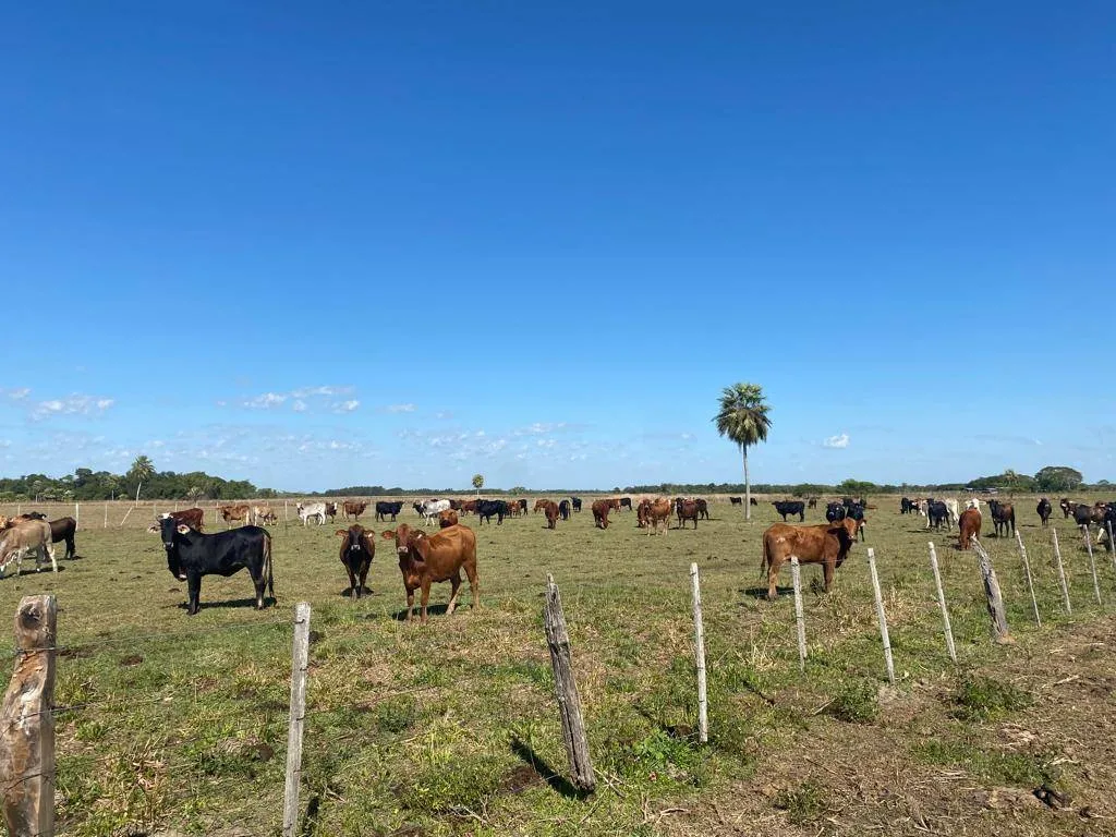 VENDO ESTANCIA EN PILAR — foto 3