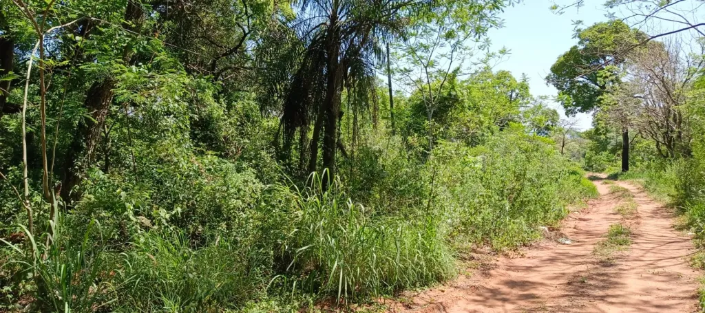🔴 EN VENTA TERRENO ZONA GRANJA MI RETIRO EN AREGUÁ A 30 MTS DE LA RUTA 🔴 — foto 3