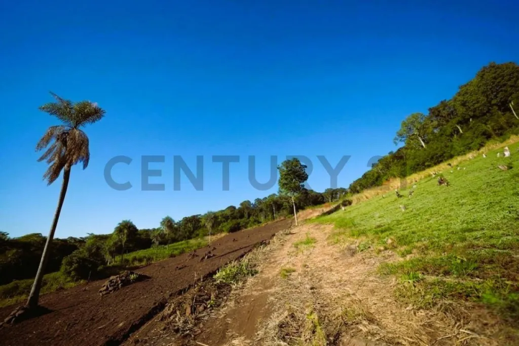 Exclusiva Oportunidad: Campo en Sapucai, Paraguarí, Ideal para Inversión y Desarrollo. — foto 2