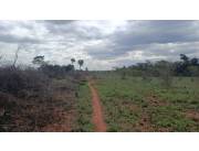 VENDO 7 HA. DE TERRENO, GUAYAIBY SAN PEDRO APTO PARA LOTEAMIENTO