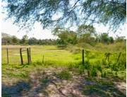 Terreno Rural en Jose Falcon - 10 Ha.