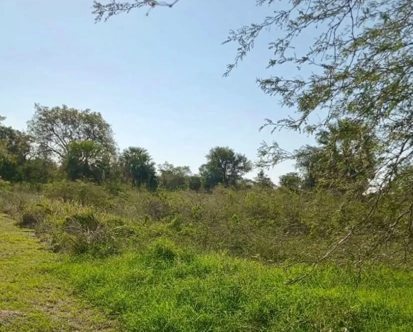 Terreno Rural en Jose Falcon - 10 Ha. — foto 2