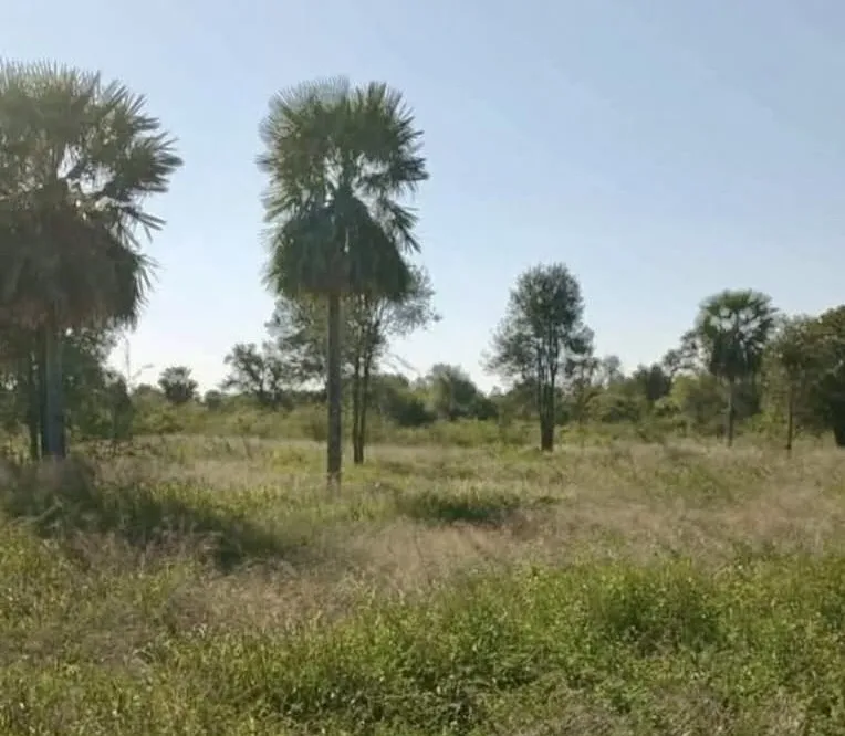 Terreno Rural en Jose Falcon - 10 Ha. — foto 3
