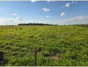 Campo Agrícola/Ganadero en Borja - 525 Ha.