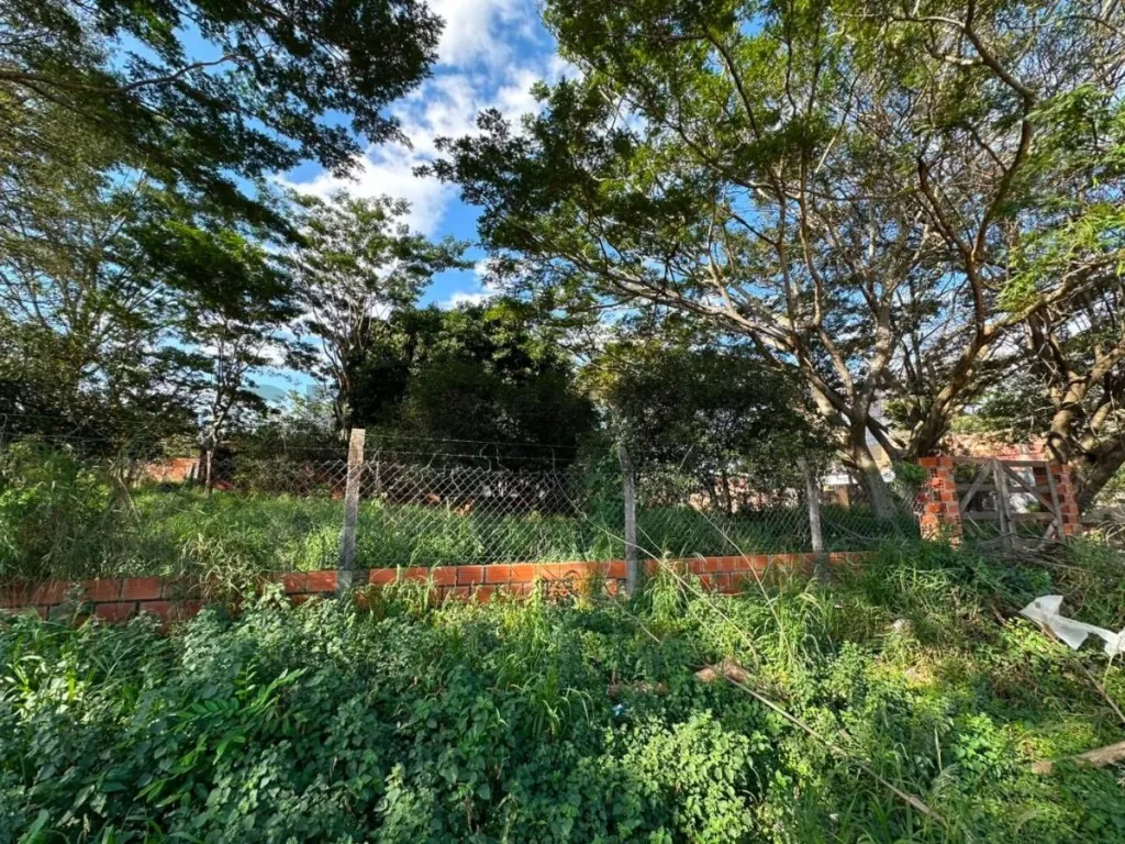 TERRENO EN EQUINA SOBRE AVDA. AMERICO PICCO VILLA ELISA — foto 2