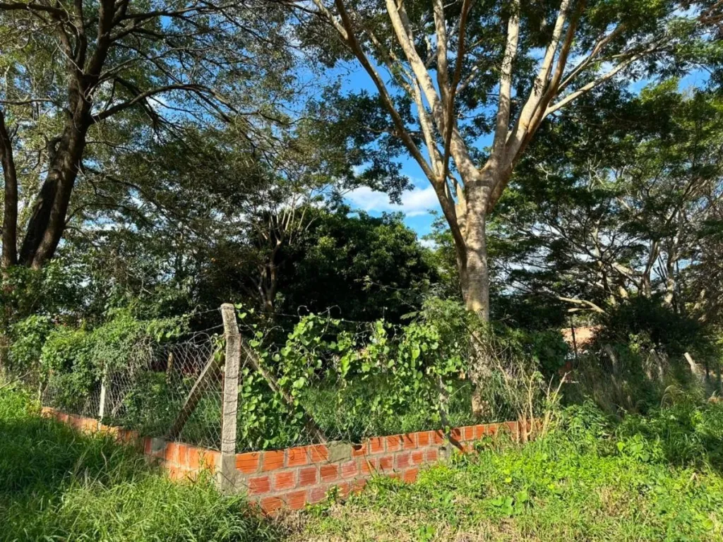 TERRENO EN EQUINA SOBRE AVDA. AMERICO PICCO VILLA ELISA — foto 3