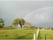 VENDO ESTANCIA EN VILLA HAYES -CHACO PYO