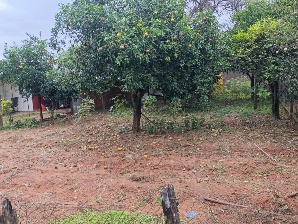 VENDO TERRENO EN GUARAMBARE — foto 2