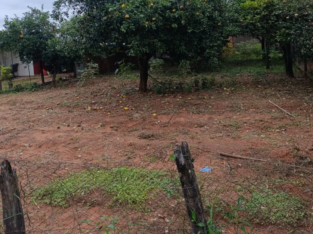 VENDO TERRENO EN GUARAMBARE — foto 3