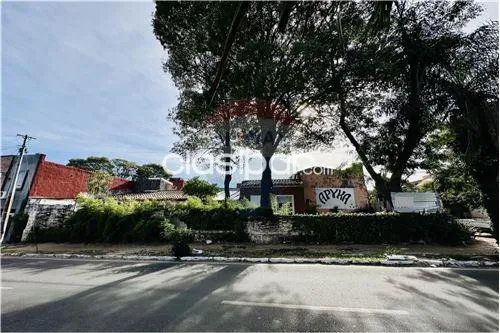 Terreno en Venta en Asunción General Díaz Blas Garay esquina Paraguarí Calle Blas Garay — foto 3