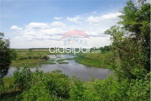 VENDO CAMPO IDEAL PDESARROLLO AGRO-GANADERO 540 HECTAREAS EN JUAN DE MENA-DPTO.CORDILLERA — foto 2