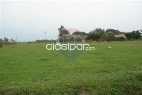 VENDO CAMPO IDEAL PDESARROLLO AGRO-GANADERO 540 HECTAREAS EN JUAN DE MENA-DPTO.CORDILLERA — foto 3