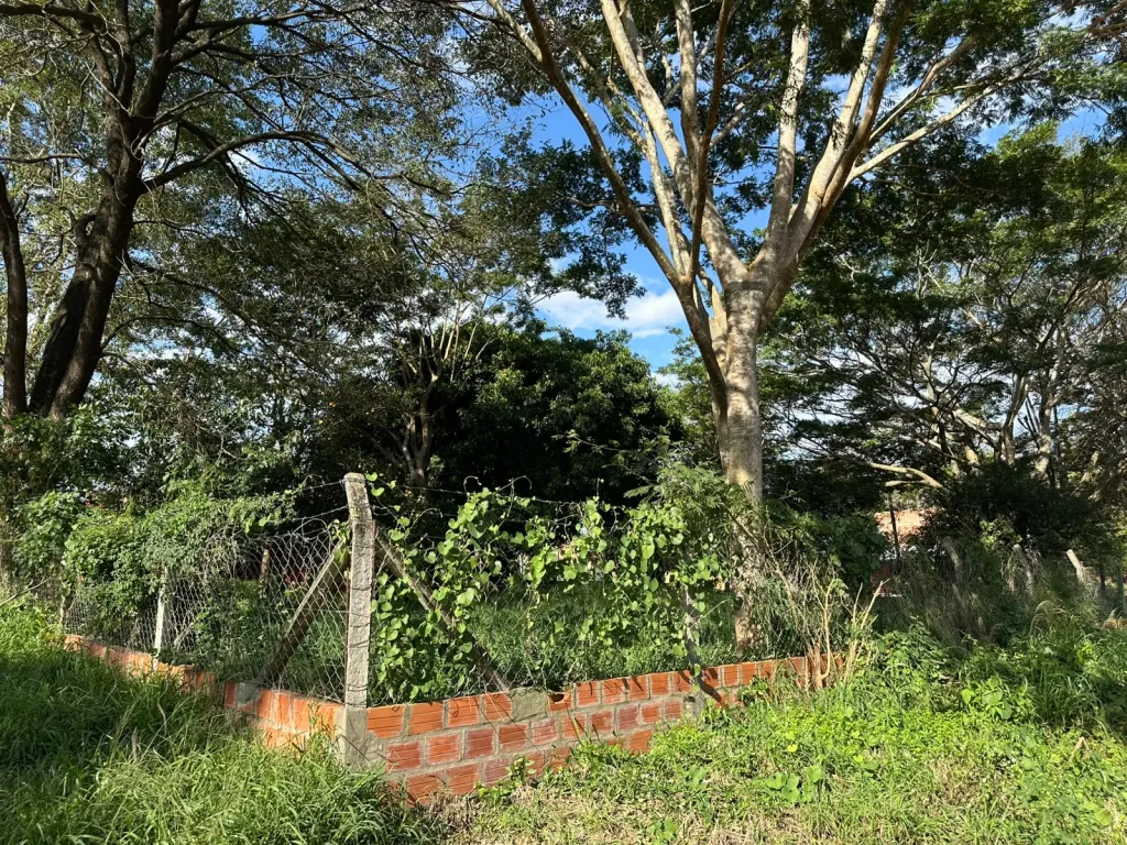 TERRENO EN EQUINA SOBRE AVDA. AMERICO PICCO VILLA ELISA — foto 2