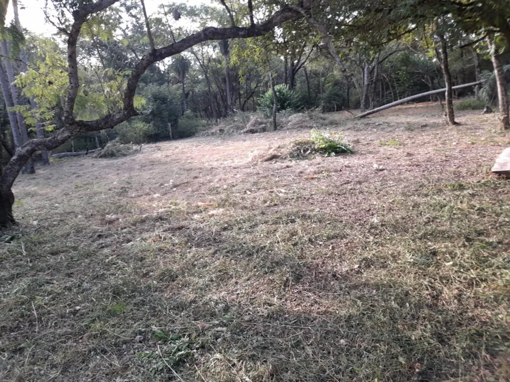 VENDO TERRENO EN SAN BERNARDINO — foto 2