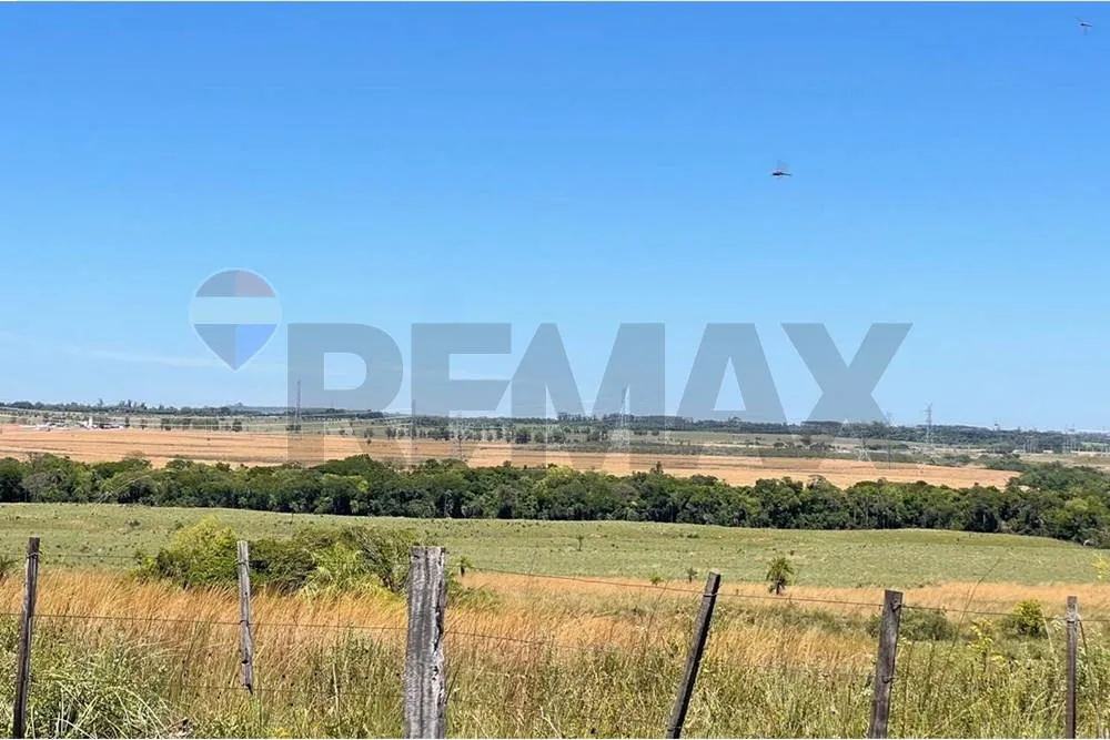 Vendo 13 hectáreas en Itacurubí de la Cordillera — foto 3