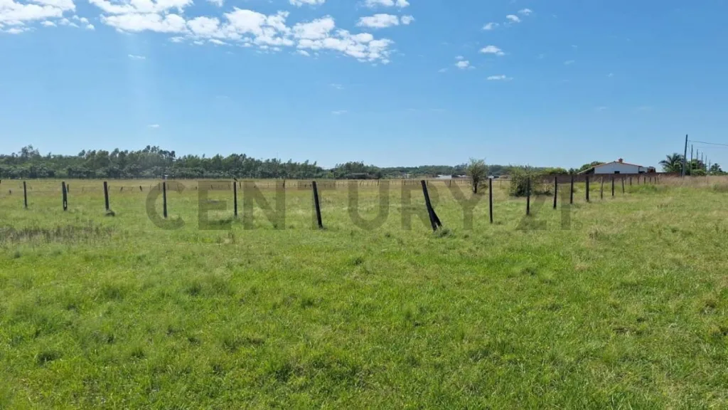 VENDO TERRENOS EN VILLETA - ZONA MERLO — foto 2