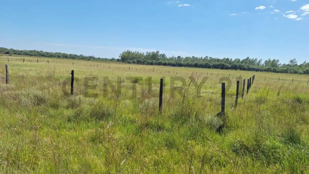VENDO TERRENOS EN VILLETA - ZONA MERLO — foto 3