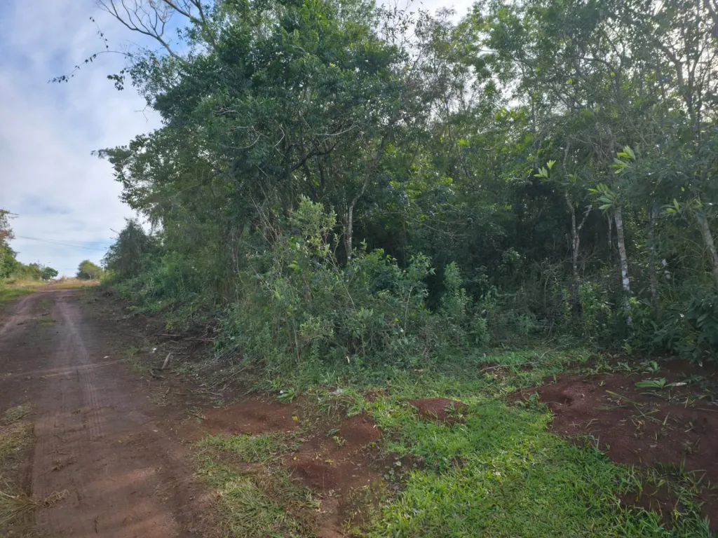 VENDO LOTE DE 360 M2 EN EL BARRIO ARROYO PORÃ DE CAMBYRETA — foto 2