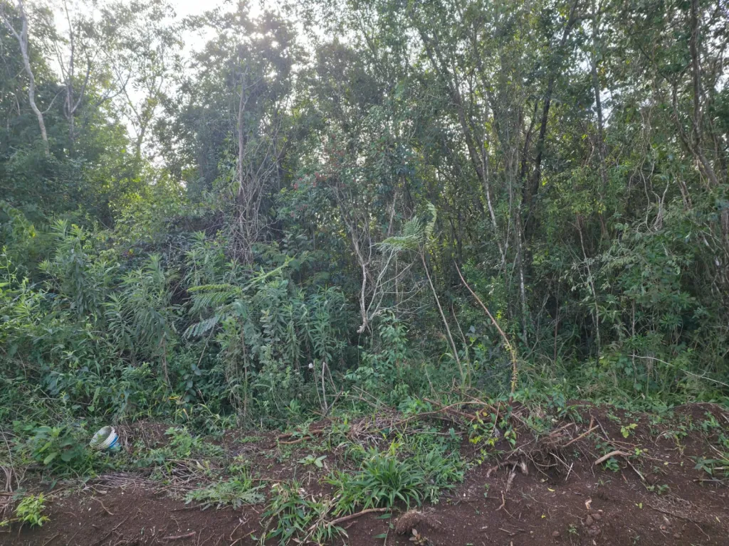 VENDO LOTE DE 800 M2 EN EL BARRIO ARROYO PORÃ DE CAMBYRETA — foto 2