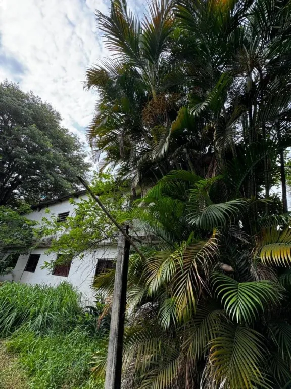 VENDO CASA EN YCUA SATI, ASUNCION — foto 2